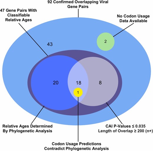 How the relative ages of the genes were classified for 47 out of the 92 overlapping gene pairs for which sequence data were available. Within each shaded region, each gene pair is counted within only one of the subregions shown. Each shaded region’s total is found by summing the individual subtotals within it, some of which are noted outside the shaded regions. For example, the relative ages of 39 genes were classified via phylogenetic analysis: 20 through phylogenetic analysis alone (blue circle), 18 supported via codon analysis (intersection of blue and white circle), and one contradicted by codon analysis (yellow circle).