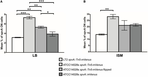 The proportion of spvA ON cells in populations of the indicated strains grown to stationary phase in LB (A) or ISM (B). Cells of the corresponding populations were analyzed with fluorescence microscopy and binned as ON when their mVenus fluorescence exceeded 10 A.U., with this cut-off being based on visual inspection of the raw microscopy images. The data show the mean proportion of spvA ON cells in the total population with the corresponding SEM from three biological replicates. The number of cells quantified for every biological replicate of each strain in both growth media was in the range of 800–2200 cells. One-way ANOVA, followed by Tukey’s honest significant difference test, was performed on the two separate data sets to test for statistically significant differences between the strains (* P < 0.05, ** P < 0.01, *** P < 0.001).