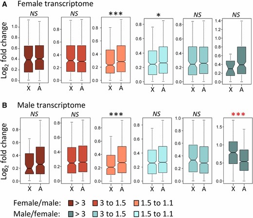 Tests of faster-X evolution for gene expression divergence in the female transcriptome (A) and the male transcriptome (B). Gene expression divergence data are based on the comparison of D. yakuba Taï18E2 and D. santomea STO.4 stocks. X, X chromosome; A, Autosomes. Probabilities are based on Mann-Whitney tests, where NS indicates not significant, * P < 0.05, ** P < 0.001, *** P < 1 × 10−4. Black and red asterisks indicate slower-X and faster-X, respectively (see Figure 3 legend for boxplot explanation).