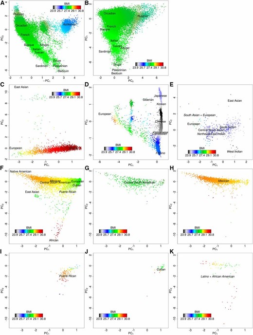 BMI distribution in GERA ethnicity groups using the first calendar year-averaged measurement. The phenotype distribution was smoothed over the PCs (within the individuals in each respective figure), which were divided by their SD for interpretability (see Materials and Methods). Human Genome Diversity Project populations are in a plain font and GERA populations are in an italic font. (A) Non-Hispanic whites including individuals with Ashkenazi ancestry (n = 81,377); (B) Non-Hispanic whites excluding individuals with Ashkenazi ancestry (n = 76,088); (C) African Americans (n = 3069); (D) East Asians excluding Indo Fijians (n = 7235); (E) South Asians (n = 459); (F) Latinos (n = 8322); (G) Latinos: Central and South American (n = 612); (H) Latinos: Mexican (n = 3048); (I) Latinos: Puerto Rican (n = 148); (J) Latinos: Cuban (n = 40); and (K) Latinos: reporting as Latino and African American (n = 112). BMI: body mass index; GERA, Genetic Epidemiology Research on Adult Health and Aging cohort; PC, principle component.