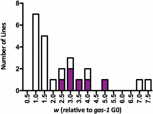 Frequency histogram of gas-1 recovery (RC) line relative fitness. Histogram of the 24 gas-1 RC lines’ fitness (w) relative to gas-1 G0 (equal to 1.0). Filled portions of bars indicate contribution of male-containing RC lines.