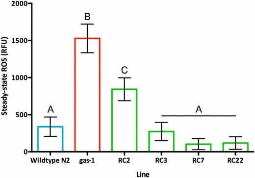 Steady-state reactive oxygen species (ROS) levels. ROS levels (mean ± 1 SEM) for N2 (338.7 ± 127.0), gas-1 G0 (1527.8 ± 154.4), and four selected recovery (RC) lines at generation 60 of recovery: RC2 (843.6 ± 117.1), RC3 (273.7 ± 125.2), RC7 (102.7 ± 105.8), and RC22 (118.8 ± 128.9). Lines differed with regard to ROS (F5,208 = 16.01, P < 0.0001); gas-1 G0 had significantly higher ROS content than N2 and the four gas-1 RC lines (Tukey’s honest significant difference, α = 0.05). Error bars = 1 SEM and letters label statistically indistinguishable groups. RC2 and RC7 were members of the lower-relative fitness class, although RC7 scored high in competitive fitness. RC22 and RC3 were members of the higher-fitness class (Figure 1). RC22 evolved bleach resistance; RC3 evolved high-male frequency. RFU, relative fluorescence unit.