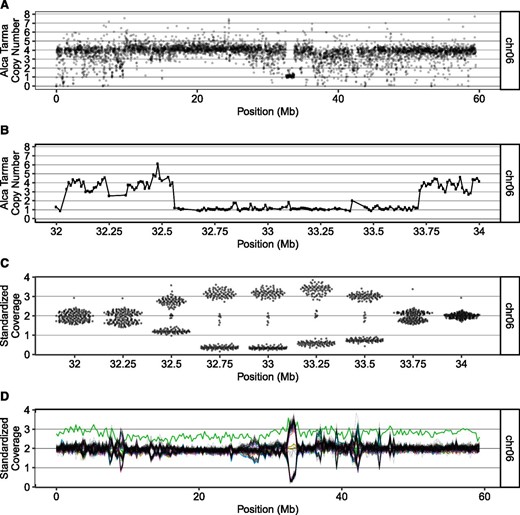 Example of segregating copy number variation among dihaploid population. (A) GC-normalized median read depth of nonoverlapping 10-kb bins for tetraploid Alca Tarma (see Materials and Methods). Chromosome 6 is shown. Each dot is plotted with partial transparency to emphasize overplotting. (B) GC-normalized median read depth, zoomed in on 1-Mb region of chromosome 6. (C) Swarm plots of standardized coverage values in bins affected by 1-Mb deletion. The population segregates the high- and low-dosage states in an ∼1:1 ratio, consistent with random chromosome segregation of a deletion in triplex allele dosage. (D) Population standardized values for chromosome 6. Each dihaploid is displayed as a single contiguous line; green line: chromosome 6 trisomic. The region corresponding to the large deletion shown in panel (A) exhibits segregating dosage variation in the dihaploid population. Chr, chromosome.