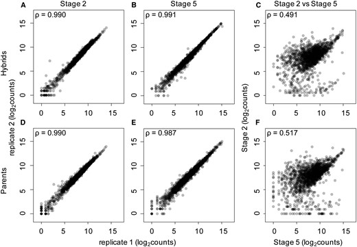 Hybrid and parental species single embryo transcript levels are highly reproducible. (A, B, D, and E) Spearman’s rank correlation coefficients are high when counts from replicate transcriptomes of the same stage and genotype are compared. Correlation coefficients are similarly high in parental species (D and E) and when comparing replicates from hybrid crosses (A and B). (C and F) Samples from different stages and the same genotype have much lower correlations, indicating a large difference in transcriptomes between the maternal and zygotic stages.
