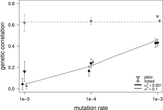 Average genetic correlation between traits 1 and 2 at mutation–selection balance after 50,000 generations of stabilizing selection in one population with 5000 randomly mating hermaphrodites. Average values over 30 replicates are given for simulations with 120 pairs of fully linked nonpleiotropic loci (circles) and 120 pleiotropic loci (triangles). Error bars show one standard deviation. Two sets of mutational parameters were used: α2=0.001 (black) and α2=0.1 (dark gray). The Gaussian regime (α2=0.001) is represented on the right-hand side where μ=1e-3, while the HoC regime (α2=0.1) is on the left-hand side where μ=1e-5. The dashed line represents Lande’s (1984) expectations for pairs of linked loci [equation (3)], while the black line is the Gaussian expectation from Chantepie and Chevin (2020). Simulation parameters are N = 5000, ω2=100, ρω=0.9.