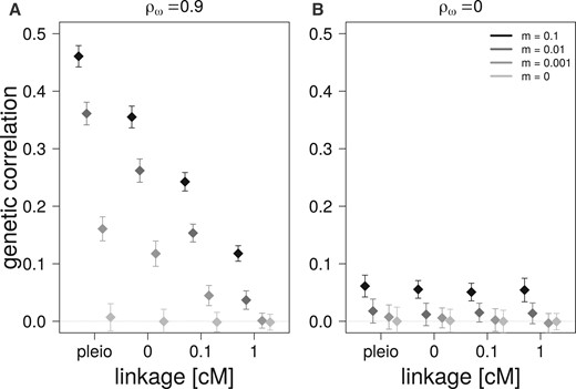 Effect of migration on the average genetic correlations in the focal populations (and their standard deviations) after 10,000 generations of migration from a source population with different migration rates (m) for four different genetic architectures. (A) Migration from a source population with correlational selection between traits (ρω=0.9). (B) Migration from a source population without correlational selection between traits (ρω=0).