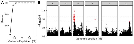 Genome-wide association mapping power and example. (A) Statistical power for the 20200815 CeNDR release strain set is plotted by the QTL effect (Percent of phenotypic variance explained by the QTL). (B) A Manhattan plot for single-marker-based GWA mapping of the ascr#5-induced dauer formation trait (Lee et al. 2019) is shown. Each dot represents a single-nucleotide variant (SNV) that is present in at least 5% of 157 wild strains. The genomic position in Mb, separated by chromosome, is plotted on the x-axis, and the statistical significance of the correlation between genotype and phenotype is plotted on the y-axis. Two significance thresholds are shown. The dashed horizontal line denotes the Bonferroni-corrected P-value threshold using all markers, and the solid horizontal line denotes the Eigen-corrected P-value threshold using independent markers correcting for LD (genome-wide eigen-decomposition significance threshold). SNVs are colored red if they pass either threshold.