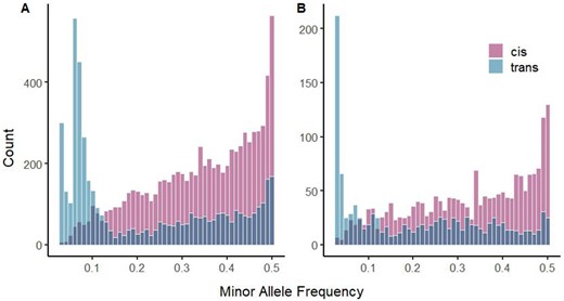 (A) Minor allele frequency distribution for all associations excepting Chromosome 11. (B) The subset of associations in the top quartile of effect sizes for each regulatory category. Cis-acting variants in pink and trans-acting variants in blue. Lowest MAF bin is 0.025 < x < 0.035.
