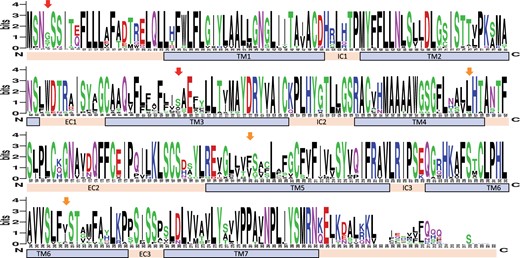 Amino acid sequence variation of the intact family 14 OR genes in the Leach’s storm-petrel. Arrows indicate significant positively selected sites identified by all (red), or at least two methods (orange). Locations of the transmembrane domains (TM1–7), intra-cellular domains (IC1–3), and extra-cellular domains (EC1–3) are shown. The overall height of the stack of symbols indicates the sequence conservation at that codon position. The height of amino acid symbols with the stack indicates the relative frequency of each amino acid at that codon position. Numbers below the stacks indicate codon position.