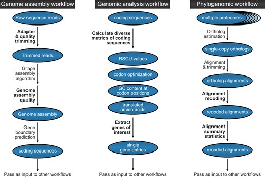 BioKIT can be incorporated into diverse bioinformatic workflows. This flowchart depicts how BioKIT can be incorporated into numerous bioinformatic pipeline using genome assembly (left), genome analysis (middle), and phylogenomic analysis (right) as examples. For each workflow, steps that can be executed by BioKIT are depicted in bold-faced font.