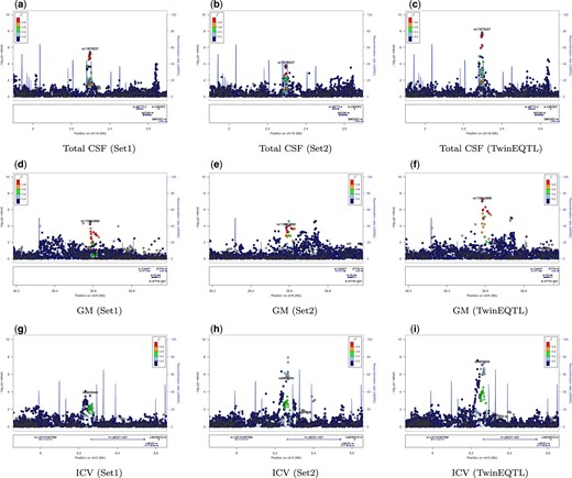 LocusZoom plot of genome-wide association analysis of neonatal GM, CSF, and ICV. GWAS P-values of neonatal CSF ( top panels: a-c), GM (middle panels: d-f), and ICV (bottom panels: g-i) in EBDS study. The GWAS analysis performed separately using independent set 1 (left panels), independent set 2 (middle panels) and then combined set 1 and set 2 using TwinEQTL (right panels). The significance of P-values in set1 and set2 is augmented by TwinEQTL even though they were not significant in results using only set1 or set2.