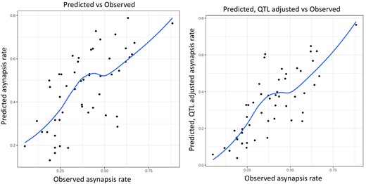 Spearman correlation between a) predicted and observed asynapsis (Spearman 0.67, RMSE = 0.159) and b) between predicted, QTL-adjusted, and observed asynapsis rate (Spearman 0.77, RMSE = 0.126). The QTL-adjusted, predicted asynapsis rate is significantly closer to the observed asynapsis (Mann–Whitney P = 0.012).