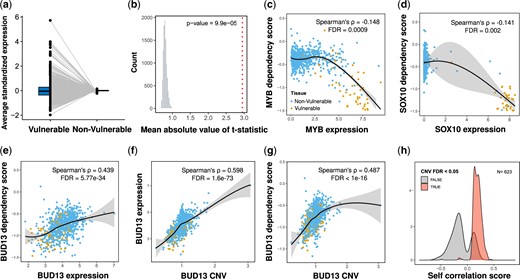 The expression of the tissue-specific genes in vulnerable tissues is consistent with a PE mechanism and the effect of copy number variations (CNVs). a) The average standardized expression of tissue-specific genes in vulnerable and nonvulnerable tissues. b) The observed mean absolute t-statistic (dashed red line) was calculated for differences in the expression of tissue-specific genes between the vulnerable and nonvulnerable tissues. The histogram shows the distribution of the expected values under the null based on 10,000 permutations. c, d) Demonstration of PE. c) MYB, a tissue-specific gene in blood and lymphocytes, is more essential (lower dependency) in cells with higher expression of MYB. d) SOX10, a tissue-specific gene in the skin, is more essential in cells with higher expression of SOX10. e–g) Demonstration of a tissue-specific gene that is explained by the gene copy number. e) BUD13, a tissue-specific gene in the skin and the upper aerodigestive tissue, is less essential in cells with higher expression of BUD13. f) BUD13 expression is associated with the copy number of BUD13. g) BUD13 dependency scores are associated with the copy number of BUD13. h) Density plots of Spearman’s correlation coefficients between the dependency scores and expression of tissue-specific genes. The plots are shown for 623 tissue-specific genes with CNV information, divided into genes with significant correlation with the gene copy number (FDR < 0.05) (light red) or nonsignificant (grey). All P-values presented in the figures are adjusted for multiple tests by the Benjamini and Hochberg FDR procedure. The yellow dots (C-G plots) represent cell lines that belong to the vulnerable tissues, and the blue dots are for cell lines in the nonvulnerable tissues. In C-G, locally estimated scatterplot smoothing (LOESS) curves and 95% confidence intervals are shown alongside Spearman’s ρ and the FDR value.