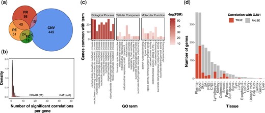 Cell-to-cell communication is a possible mechanism for tissue-specific genes. a) Euler diagram presenting the number of tissue-specific genes that could be explained by PE (orange), CNV (blue), FR (red), and FC (green). b) Distribution of the number of unexplained tissue-specific genes that were significantly positively correlated with the expression of a specific gene. The names of 2 highly ranked genes are shown. c) The 10 most significant biological functions, cellular components, and molecular functions associated with unexplained tissue-specific genes positively correlated with GJA1. The Y-axis represents the number of genes that overlap a specific term. The red color intensity signifies the -log (10) of the FDR q-value. d) Comparison between the number of tissue-specific genes in each tissue that are positively correlated with GJA1 (red) or not (grey). CNS, central nervous system; PNS, peripheral nervous system; UA, upper aerodigestive.