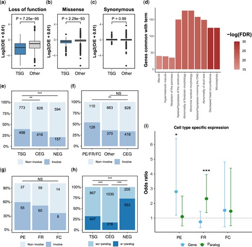 Involvement of tissue-specific genes in human diseases and expression specificity across diverse human cell types. a–c) Degree of intolerance to (a) loss-of-function mutations, (b) missense mutations, and (c) synonymous mutations. Values are the Log2 of the ratio between the observed and expected number of mutations for tissue-specific genes and all other genes. P-values were calculated using Wilcoxon signed-rank tests. (d) Ten most significant human phenotypes that are associated with tissue-specific genes. The X-axis represents the number of genes that overlap a specific term. Color intensity signifies the -log (10) of the FDR q-value. e–g) Percentage of genes associated with human diseases. e) Comparing tissue-specific genes, CEGs, and NEGs. f) Comparing disease involvement between tissue-specific genes implicated in 3 universal mechanisms with other tissue-specific genes and CEG. The 3 universal mechanisms, PE, FR, and FC, were treated as 1 group. g) Comparing disease involvement between PE, FR, and FC. h) Proportions of genes with paralogs for tissue-specific genes, CEG, and NEG. i) Association between cell type-specific expression of the tissue-specific gene itself (Gene) or the paralog (Paralog) with genes implicated in PE, FR, FC relative to NEG. Values are ORs ± 95% confidence interval. NS, P > 0.05; *, P < 0.05; **, P < 0.005; ***, P < 0.001.