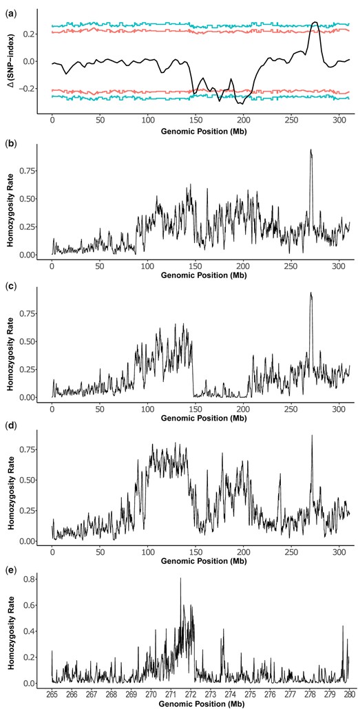 Mapping of re. a) MAM of re by plotting the Δ(SNP index) values in 1-Mb sliding windows. The corresponding 2-sided confidence intervals are shown as red (90%) or blue (95%) lines. X-axis is the genomic position on the homomorphic sex chromosome 1. The confidence intervals were estimated using 10,000 replicate simulations for all the SNP positions with the given read depths. The broad depression between 150 and 210 Mb likely reflects the sex-linked differences while the peak around 275 Mb is likely the location of re. Positions from 271,120,117 to 277,843,549 exceed 95% confidence and the left and right inflection points of this peak are 271,970,355 and 276,823,052, respectively. Homozygosity plots of red-eyed hybrids from F8THAF9MEX_F (b), F8THAF9MEX_M (c), and F7PAKF3BRA_F (d). X-axis is the genomic location on chromosome 1. Y-axis is the homozygosity of the alternative or nonreference alleles, which is calculated as (the number of unique alternative SNPs showing 100% frequency)/(the number of all unique alternative SNPs) in a 1-Mb window. We focused on unique alternative SNPs as we are only interested in SNPs showing 100% frequency. The peak for (b)–(d) is at 270–271, 270–271, and 271–272 Mb, respectively. e) Homozygosity analysis between 265 and 280 Mbp on chromosome 1 by pooling all 3 hybrid red-eyed samples. Y-axis is the homozygosity rate of the alternative or nonreference alleles, which is calculated as described above but in a 20-kb window. The highest level of homozygosity is at position 271,505,401.