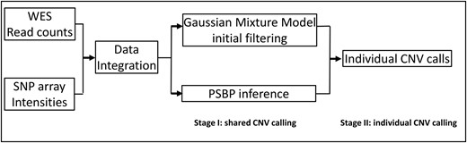 Analysis workflow of BMI-CNV. BMI-CNV uses 2 inputs: (1) WES raw read count data from testing and control samples that are computed by using genotyping tools such as SAMtools; and (2) SNP array intensities. WES read counts are normalized to correct exon length, GC-content, and mappability biases. Logarithms of normalized values between testing and pooled control samples are calculated. SNP array intensities are normalized to adjust the genomic waves. The WES and SNP array data are standardized by a robust scaling approach and then integrated. For CNV calling, BMI-CNV carries out a 2-stage framework to generate CNV calls. In stage I, an initial data filtering procedure is coupled with a Bayesian PSBP method to identify shared CNV regions. In stage II, an individual CNV calling procedure is performed to call CNVs in each sample.