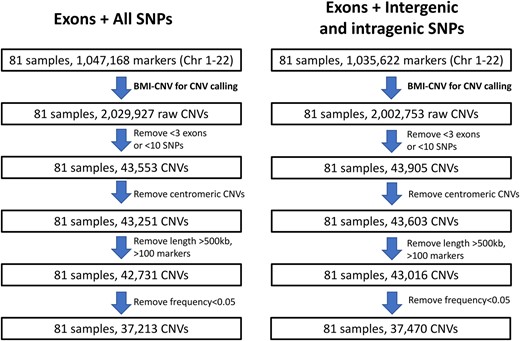 Overview of the application to the 1000 Genomes Project and HapMap data. The figure outlines the study design with a brief description of quality control (QC) methods. Summary of key results includes the sample size and number of CNVs at various stages of analysis. Left: CNV calling results using all SNPs and exons; right: CNV calling results using intergenic and intragenic SNPs and exons. Chr, chromosome.