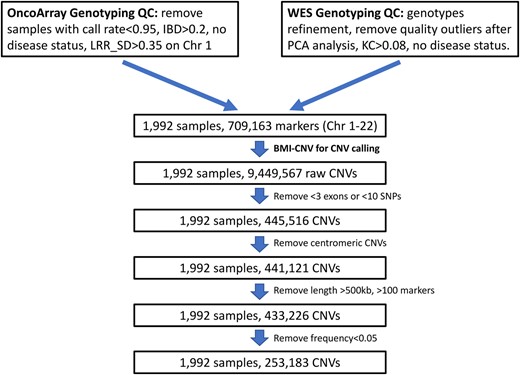Overview of the integrative analysis of the TRICL case-control study. The figure outlines the study design with a brief description of quality control (QC) steps. The summary of the key results includes the sample size and number of CNVs at various stages of analysis. IBD, identical by descent; KC, kinship coefficient; LRR SD, standard deviation of Log R ratio; Chr, chromosome; PCA, principal component analysis.