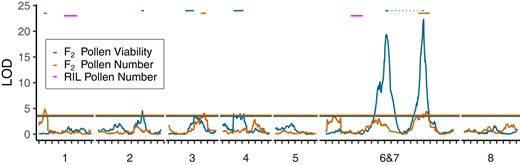 QTLs for pollen viability (blue) and pollen number (orange) in M. parishii × M. cardinalis F2 hybrids, as well as the locations of 2 pollen number QTLs in descendant RILs (pink, aligned by the physical position of markers). Horizontal lines denote the permutation-derived (N = 1000) LOD significance thresholds for each F2 trait, and the bars indicate QTL confidence intervals (1.5 LOD drop). The single major underdominant pollen viability QTL associated with the LG6&7 translocation maps to markers near both breakpoints (QTL locations connected by light dotted line), which cannot be linearly resolved in F2 hybrids. Because the RIL QTL-mapping algorithm excluded heterozygotes, no RIL pollen viability QTLs were detected despite the negative effects of retained heterozygosity (see text).