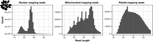 Read length distributions of nuclear, mitochondrial, and plastid mapping reads from the A. thaliana anti-CPD libraries. Pearson's correlation analyses reveal significant correlations between in the mtDNA read length distributions between time points (2 vs 5 hours; R = 0.9899, P = 2.2E-16).