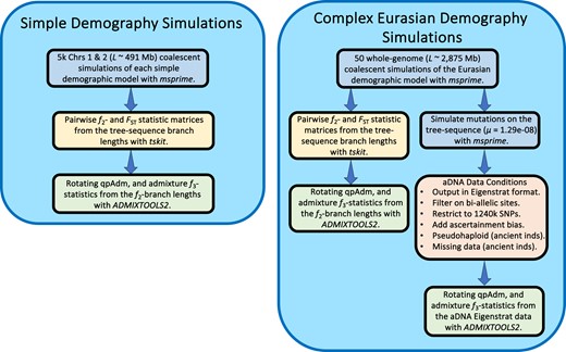 Simulation and analysis workflow in our study.