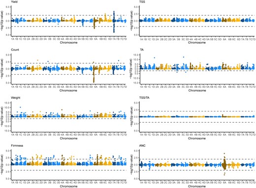 Genetic variants associated with fruit phenotypes identified by genome-wide association studies in strawberry. GWAS statistics were estimated for fruit yield, count, weight, firmness, TSS, TA, TSS/TA (sugar-to-acid ratio), and ANC from the EMM of the parents and hybrids observed over the 2017–2018 and 2018–2019 growing seasons in Salinas, CA. The upper Manhattan plot in each mirror image pair displays statistics for elite×elite and elite×exotic hybrids combined (n=469), whereas the lower Manhattan plot in each pair displays statistics for elite×elite hybrids only (n=356). The horizontal dashed lines depict genome-wide significance thresholds of 5×10−8.