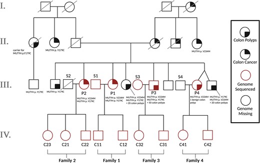 Pedigree of all sequenced individuals plus unsampled relatives. To measure the effects of biallelic MUTYH mutations (present in Generation III) on germline mutagenesis, we sequenced all offspring from generation IV as well as all parents from Generation III from whom DNA samples were available. Individuals have been given labels according to whether they are part of nuclear families 1–4, whether they are a MUTYH variant carrier parent (P), a spouse or partner of that parent (S), or a child (C). The sequenced individuals make up 4 nuclear families whose children are all first cousins: Families 1 and 2 include mothers with the biallelic genotype p.Y179C/V234M, while Family 3 includes a father with the same p.Y179C/V234M genotype. Family 4 includes a mother who is monoallelic for p.V234M. Parents of the Generation III individuals are each carriers of one of these monoallelic mutations. Solid black quadrants indicate which individuals have been diagnosed with colon polyps (bottom right) or colon cancer (top right). MUTYH mutations and number of identified colon polyps are listed below individuals studied in this pedigree. Square, male; circle, female; red, genome sequenced; black, genome missing from sequenced pedigree trio.