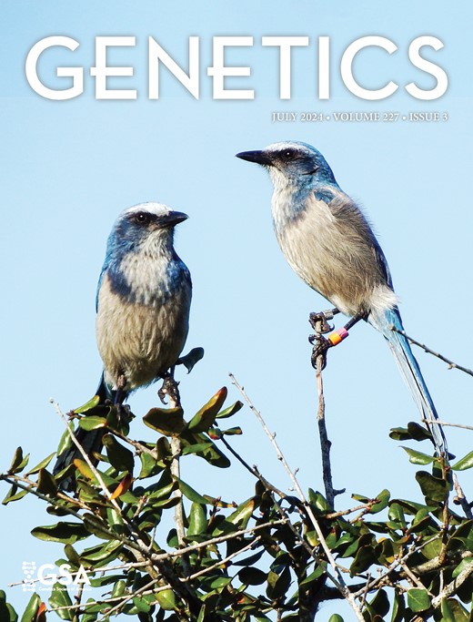 Genetics Cover Image for Volume 227, Issue 3