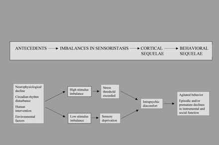 Model of imbalance in sensoristasis. Figure is reprinted with the permission of Christine R. Kovach
