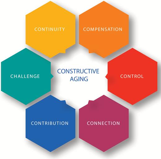 Process Model of Constructive Aging.