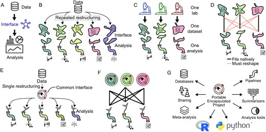 A data interface links data to analysis. (A) Schematic of a data interface. (B) Each analysis typically describes its own unique data interface. (C) The “one lab, one dataset, one analysis” mode of research tightly couples datasets and analysis. (D) With individual data interfaces, running a dataset through multiple analyses requires reshaping the data for every pairwise connection of data and analysis. (E) The PEP specification provides a standardized interface that reduces reshaping. (F) Using PEP, no reshaping is required to run a dataset through a different analytical tool. (G) A PEP may be used in different contexts and by a variety of tools and programming languages.