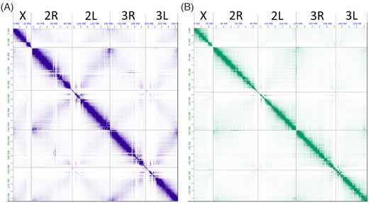 The Hi-C contact heat maps obtained after manual correction of genome assemblies. A, A. coluzzii AcolMOP1. B, A. arabiensis AaraD3. From left to right in each heat map, chromosome X, chromosome 2 (2R+2L), chromosome 3 (3R+3L). The heat maps were produced by JBAT.