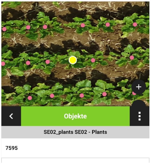 ：QField现场观测的植物目录。Android智能手机上的示例屏幕截图。可以单独访问检测到的植物，并且可以添加各种注释，如质量评估、附加注释或其他图像。