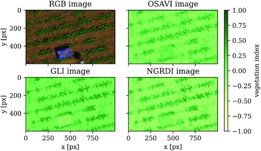 ：用于区分植物和土壤的不同植被指数（VI）。显示RGB图像信息（左上角）和3个VI。可以为多光谱甜菜数据集计算优化土壤调整植被指数（OSAVI）作为多光谱指数（右上），以及RGB-only指数绿叶指数（GLI；左下）和归一化绿/红差异指数（NGRDI；右下）。使用多光谱信息，OSAVI比仅RGB指数更不容易受到现场异物的影响。