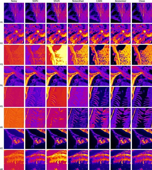 Comparison of deep learning approaches for extreme low-SNR image restoration
