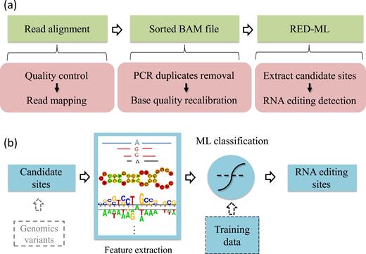 Flow charts of our RED-ML pipeline: (a) overview of the entire pipeline; (b) schematic of the ML component in RED-ML.