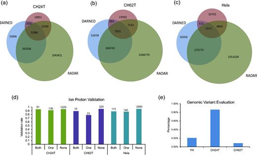 Further analysis of the RED-ML detected sites. (a–c) The overlap of detected sites with two curated RNA editing databases (DARNED and RADAR) in CH24T, CH62T, and Hela samples were shown as Venn diagrams. (d) Ion Proton validation rates for different classes of sites (defined in the main text) in the three samples. The number of validated sites in each class is also indicated on the top of each bar. (e) The percentage of genomic variants in detected RNA editing sites as quantified by matching DNA sequencing data.