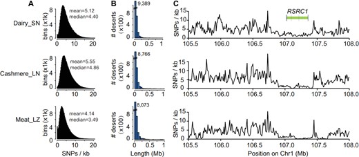 SNP deserts of three domesticated breeds. (A) SNP rate distribution. Mean and median SNP rates are labeled by peaks of distributions. (B) SNP desert length distribution. (C)RSRC1(arginine and serine rich coiled-coil 1) in a SNP desert region shared by all three breeds. SN: Saanen dairy goats, LN: Liaoning cashmere goats, and LZ: Leizhou goats.