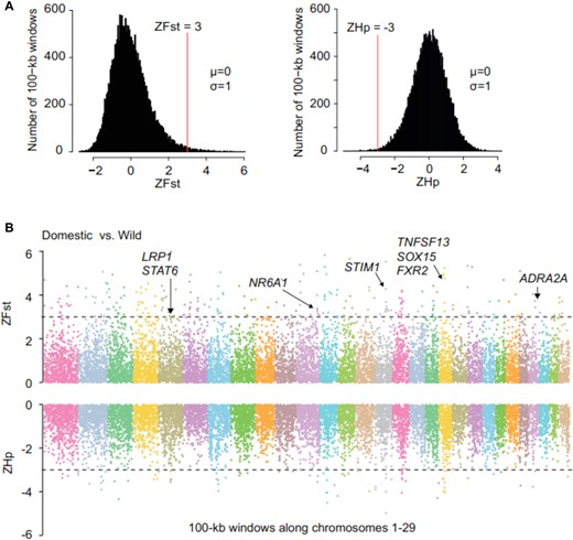 Candidate regions for DAGs. (A) Distribution of Z-transformed pooled heterozygosity (ZHp) in 15 domestic goats, and Z-transformed fixation index (ZFst) between wild and domestic goats for autosomes 1 to 29. Red vertical lines indicate thresholds. (B) Positive end of ZFst distribution (ZFst >3) and negative end of ZHp distribution (ZHp<-3) used for extracting outliers. Dashed lines indicate cutoff values. DAGs labeled are discussed in the text.