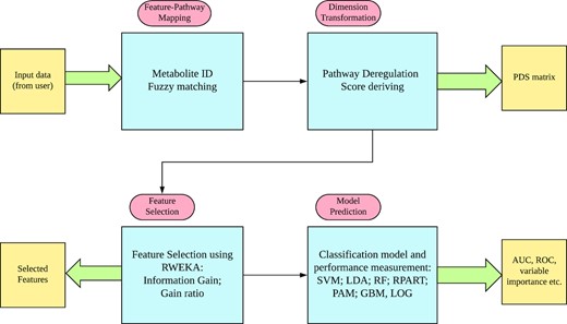 The workflow of Lilikoi package. Lilikoi is composed of four modules: feature mapper; dimension transformer; feature selector; and classification predictor.