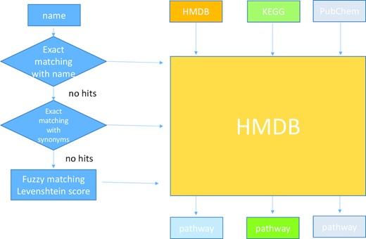 The workflow of module 1: feature mapper. The user can input any metabolite IDs such as chemical name, KEGG, PubChem, and HMDB IDs. The fuzzy matching algorithm is implemented to map the non-matched names to the 100k synonyms database.