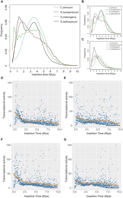 Long terminal repeat retrotransposon (LTR-R) insertion time distribution and the expression level of LTR-Rs in different tissues. Insertion time distribution of total LTR-Rs (A), Ty3/Gypsy LTR-Rs (B), and Ty1/Copia LTR-Rs (C) of Capsicum annuum, Solanum melongena, S. lycopersicum, and S. aethiopicum. The x- and y-axes, respectively, indicate the insertion time and the frequency of inserted LTR-Rs. Expression levels of LTR-Rs in flower (D), fruit (E), leaf (F), and root (G) tissues.