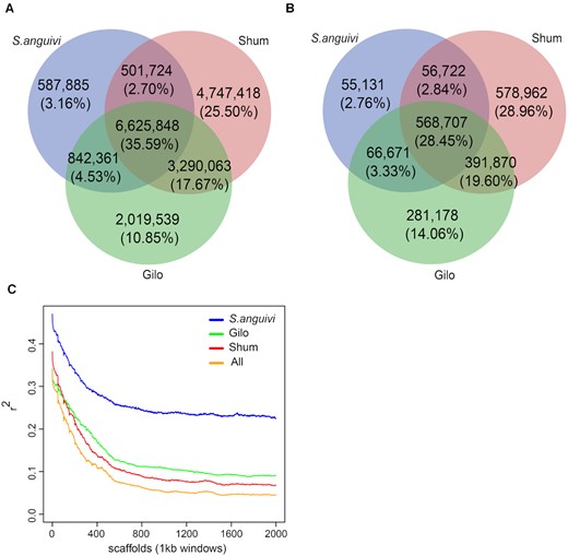 Single-nucleotide polymorphisms (SNPs), indel, and linkage disequilibrium (LD) decay for "Gilo," "Shum," and "S. anguivi" groups. (A) SNPs numbering 2,019,539 (10.85%%), 4,747,418 (25.50%), and 587,885 (3.16%) were unique to Gilo, Shum, and S. anguivi, respectively. Most (93.13%) of SNPs in S. anguivi were shared with either Gilo or Shum. (B) Indels amounting to 14.06%, 28.96%, and 2.76% were unique to Gilo, Shum, and S. anguivi, respectively, and, like the SNP statistics in these groups, 92.62% of indels in S. anguivi were shared with either Gilo or Shum. (C) LD estimation revealed that r2 reaches the half maximum value at ~150 kb.
