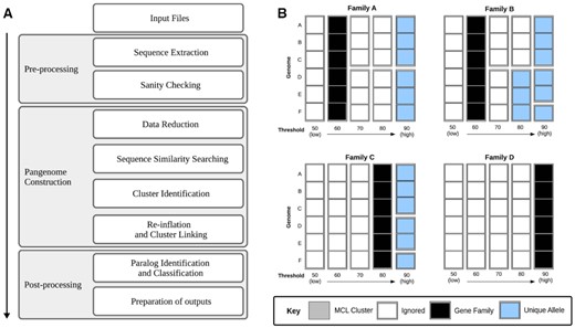 (A) Flow chart denoting a simplified workflow. (B) Example cluster classification. Blocks represent sequences from unique genomes. Grey blocks represent MCL clusters at various percentage identity cut-offs. Black squares indicate a “gene family” cluster, the lowest percentage identity threshold from the MCL clustering. Blue squares represent “unique alleles,” MCL clusters at higher percentage identity thresholds with unique combinations of sequences (at the higher threshold at which they are observed together). White squares represent redundant MCL clusters; these are not present in the PIRATE output.