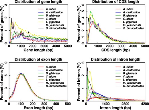 Length distribution comparison of genes (A), CDSs (B), exons (C), and introns (D) for A. fulica to those in the closely related mollusk species A. californica, B. glabrata, C. gigas, L. gigantea, P. yessoensis, and O. bimaculoides.