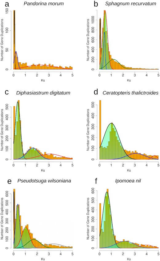 Histograms of the age distribution of gene duplications (Ks plots) with mixture models of inferred WGDs for (a)Pandorina morum (green algae), no inferred WGD peak. (b)Sphagnum recurvatum (moss), inferred WGD peak median Ks = 0.38. (c)Diphasiastrum digitatum (lycophyte), inferred WGD peak median Ks = 0.42, 1.62. (d)Ceratopteris thalictroides (fern), inferred WGD peak median Ks = 1.08, 3.07. (e)Pseudotsuga wilsoniana (gymnosperm), inferred WGD peak median Ks = 0.38, 1.18. (f)Ipomoea nil (angiosperm) inferred WGD peak median Ks = 0.66, 2.15. Histogram x-axis scale is Ks 0–5. The mixture model distributions consistent with inferred ancient WGDs are highlighted in green.