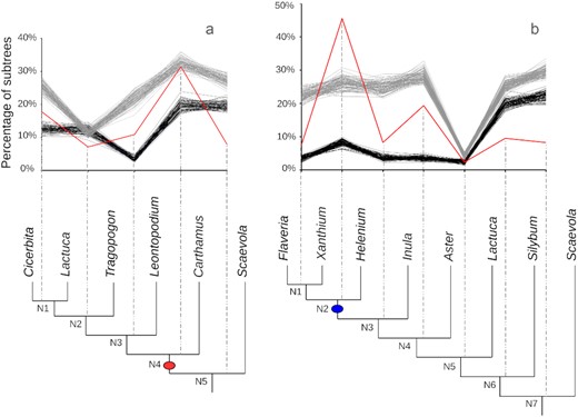 Asteraceae MAPS results from observed data, null, and positive simulations on the associated phylogeny. (a) Percentage of subtrees that contain a gene duplication shared by descendant species at each node, results from observed data (red line), 100 resampled sets of null simulations (black lines), and positive simulations (gray lines). The red oval corresponds to the paleohexaploidy event in the Compositae. (b) Percentage of subtrees that contain a gene duplication shared by descendant species at each node, results from observed data (red line), 100 resampled sets of null simulations (black lines), and positive simulations (gray lines). The blue oval corresponds to the Heliantheae ancient WGD.