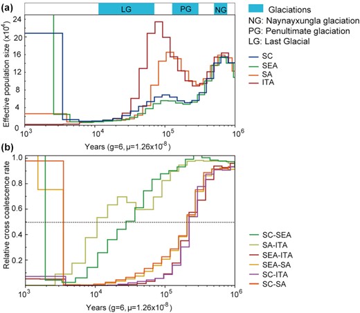 Demographic history and divergence of buffalo populations using MSMC. (a) Population size history inference of swamp and river buffalo based on 4 high-coverage haplotypes from southwest China (SC), southeast Asia (SEA), south Asia (SA), and Italy individuals (ITA). (b) Inferred relative cross-coalescence rates between pairs of populations over time based on the same 4 haplotypes.
