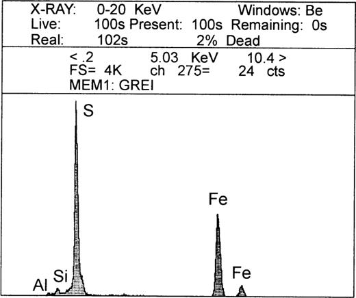 GRM acquisitions for different positions of the sample (sample system xs, ys, zs) in the instrument (instrument or measurement system xi, yi, zi). The sample is rotated around the z‐axis. B, E denote the beginning and end of demagnetization, respectively.